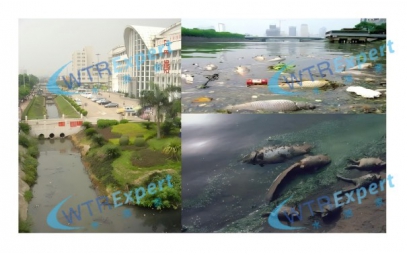 "天空地水"四维感知赋能智慧江河—2025河道水文立体 感知系统方案